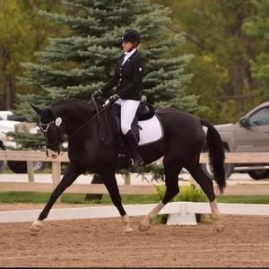 Meet your Posher, Tessa